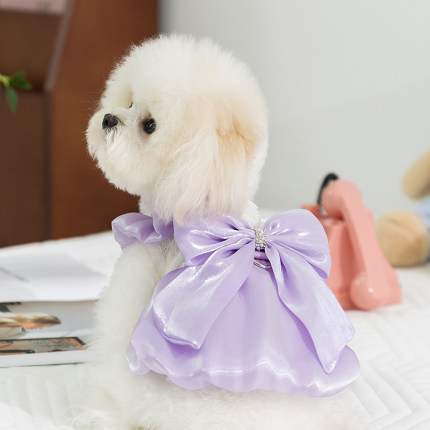 狗狗衣服流光大蝴蝶结淑女连衣裙可牵引约克夏博美小型犬宠物服装