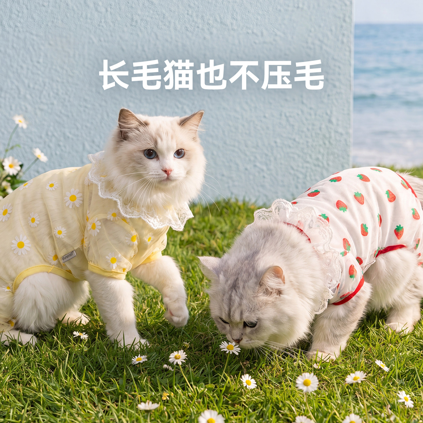 宠物衣服田园满印网纱四脚衣橘猫矮脚小猫咪夏季防掉毛透气猫衣服图片