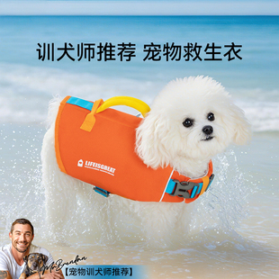 卡通撞色游泳衣服中小型犬柴犬约克夏玩水泳衣 狗狗救生衣宠物夏季
