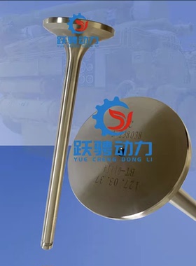 新款 系列燃气机济柴v190zdt1-2 600KW 127.03.37 TS913进气阀门