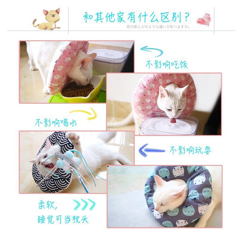 奶猫伊丽莎白防抓挠圆圈圈中加厚脖子脖颈透气猫咪圈脖环防抓伤