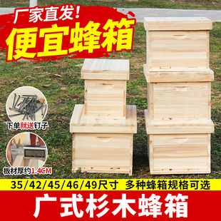 广式 蜂箱3542454649尺寸不带纱盖隔板蜂大哥中蜂箱全杉木材质 包邮