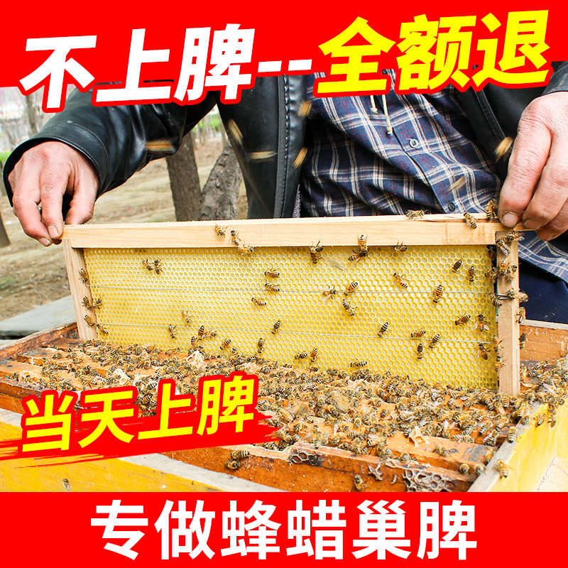 蜂大哥成品巢框【5个装】中蜂带框巢础泡沫包装破损包赔蜜蜂巢皮