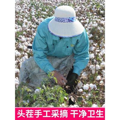 新疆棉花一级优质长绒棉枕头玩偶填充物新棉花卷棉被宝宝棉絮被褥