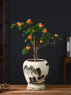 陶瓷花盆新中式覆古家用大口径创意手绘三角梅流泉枫盆景花器摆件