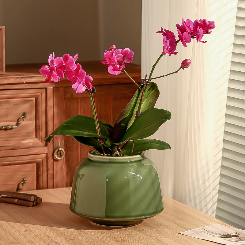 简约陶瓷花盆新中式大号轻奢君子兰三角梅专用蝴蝶兰套盆通用特价