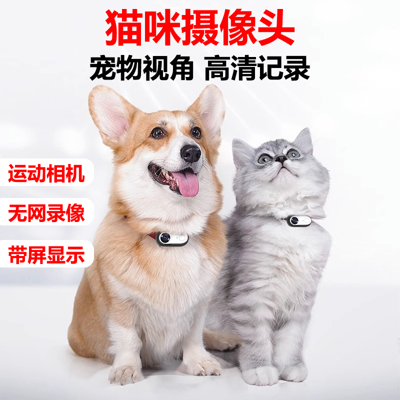 宠物视角猫咪狗摄像头挂脖记录仪录音录像防抖动物运动相机项圈摄影头