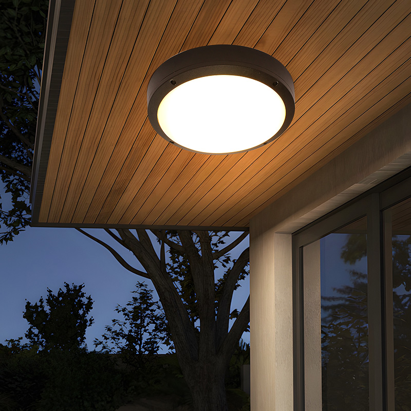 大门进户门灯户外防蚊虫吸顶灯