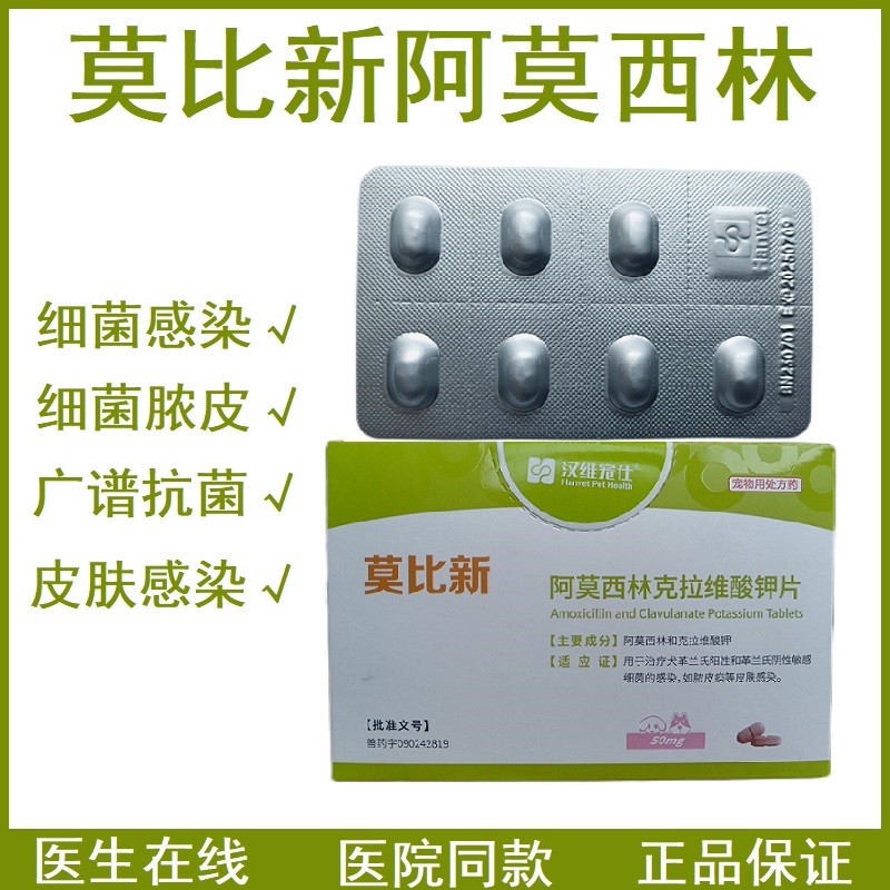 莫比新阿莫西林杀菌消炎犬猫通用