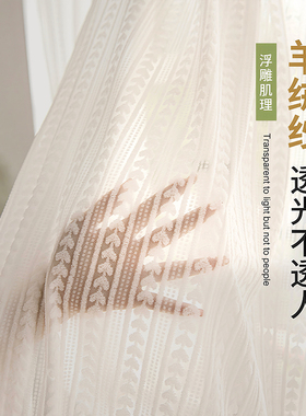 窗帘透光不透人纱帘蕾丝免打孔安装飘窗白纱遮挡帘魔术贴2026厨房