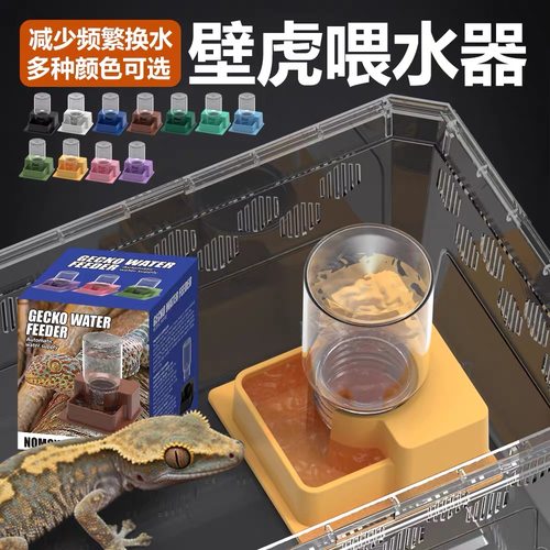 睫角守宫自动饮水器守宫蜘蛛自动饮水器迷你型补水器水盆自动下水