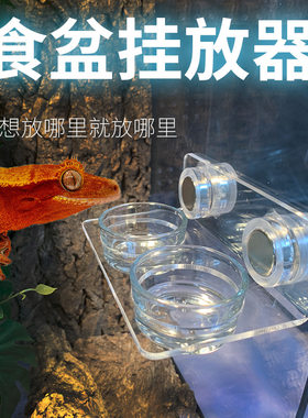 睫角守宫盖勾亚守宫专用树栖食盆吸盘式喂食器爬宠食盆可调节高度