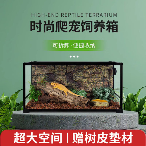 WACOL新派玩新派玩酷爬宠