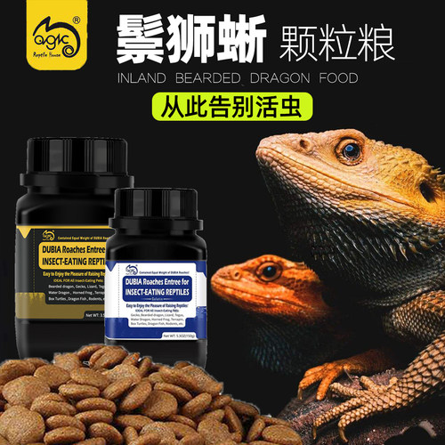 MAGIC鬃狮蜥鬃狮蜥蜴粮食