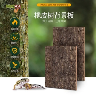 WACOOL爬宠缸背景板造景橡树皮背景板爬缸饲养箱造景天然橡树皮