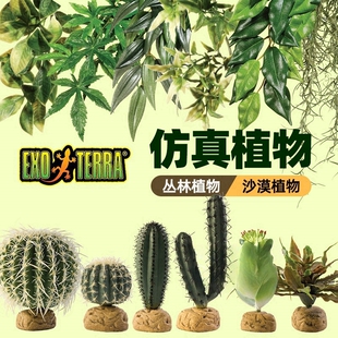 加拿大希瑾爬虫雨林缸造景仿真植物爬宠躲避守宫饲养箱造景绿植