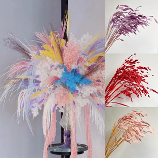 ins北欧风小盼草永生花干花婚庆高级感大厅装饰摆件手捧花束真花