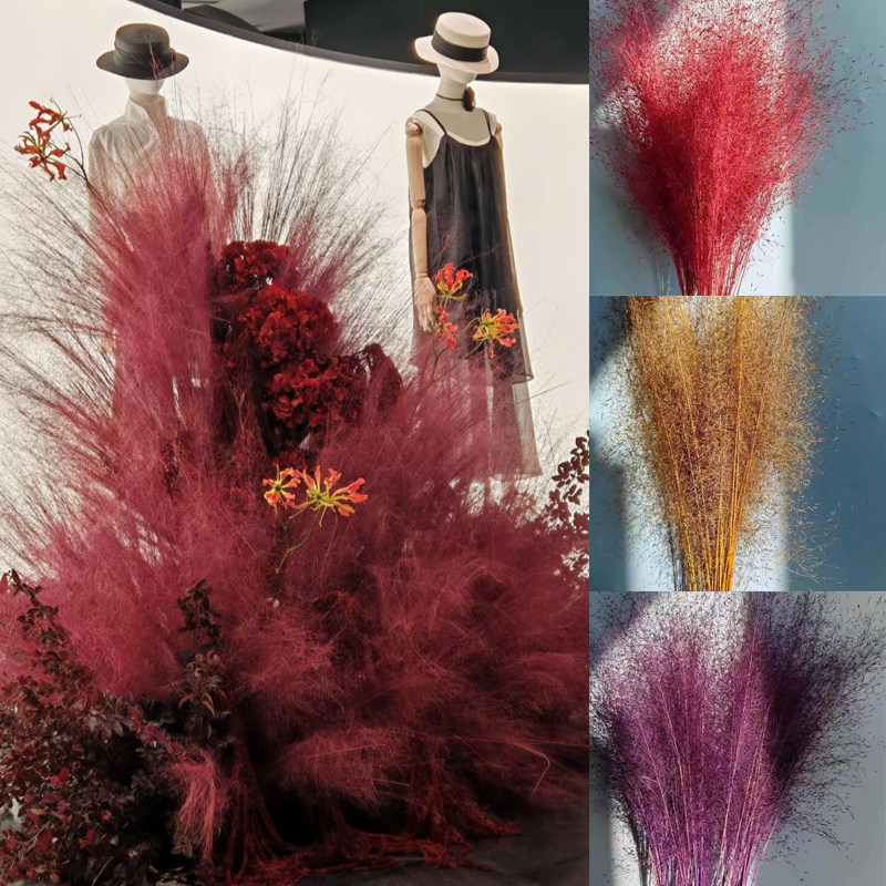 粉黛乱子草干花批发蚊子草家居装饰摆件网红拍摄道具永生花花材厂,鲜花速递/花卉仿真/绿植园艺,干花,淘宝优惠券,粉丝福利购,淘宝优惠卷