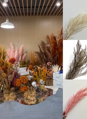 永生花澳洲羊齿绿色澳洲羊齿diy材料叶干花束材料包干树枝装饰物