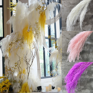 永生花梦幻龙须草干花婚庆礼装 网红活动花艺素材悬挂仿真花 饰软装