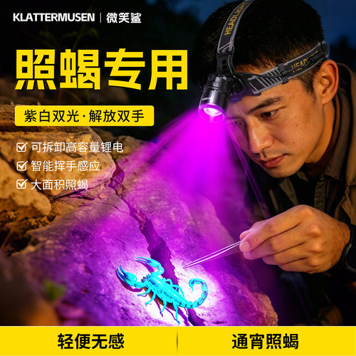 蝎子专用头灯2026年新款紫白双光