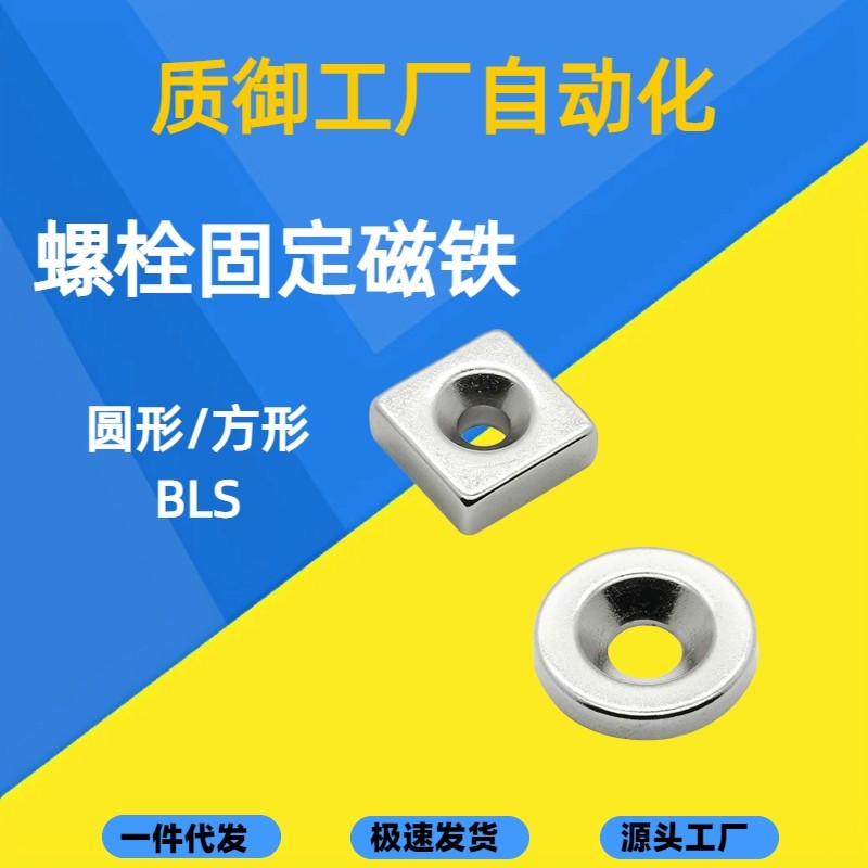 BLS67/68-A8/A10/A12/A15/A20-T2/T3/T4/T5/T6 螺栓固定型磁铁