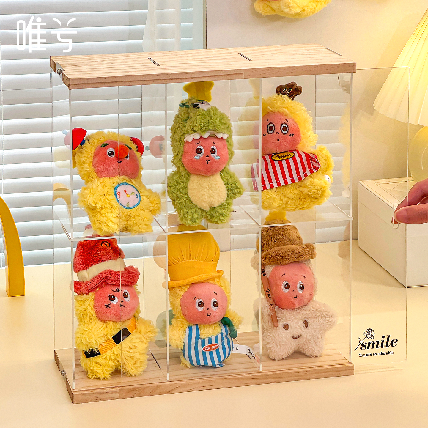 端盒刚好住满！透明展示超吸睛