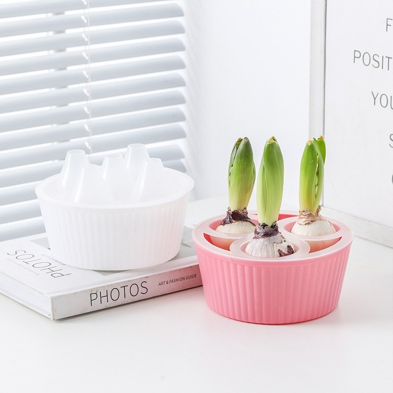 郁金香种球专用水培花盆风信子洋水仙种子三孔五孔懒人花盆器皿,鲜花速递/花卉仿真/绿植园艺,花盆,淘宝优惠券,粉丝福利购,淘宝优惠卷