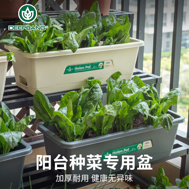 长方形花盆阳台种菜专用盆家庭室内蔬菜种植箱草莓盆栽神器长条盆