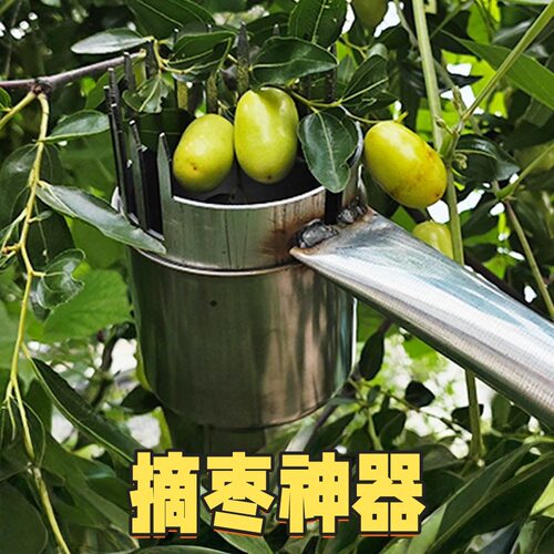 摘枣高空摘果酸枣杯防洋辣子不扎手