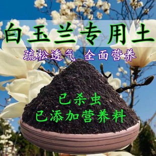 白玉兰专用土盆栽营养土弱酸性沙质家用种植花土壤绿植花卉土肥料