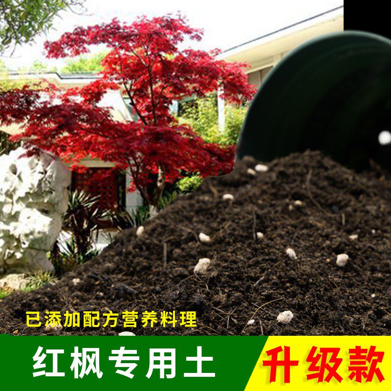 红枫专用土盆栽盆景红枫营养土家用园艺绿植酸性室内种植肥料土壤
