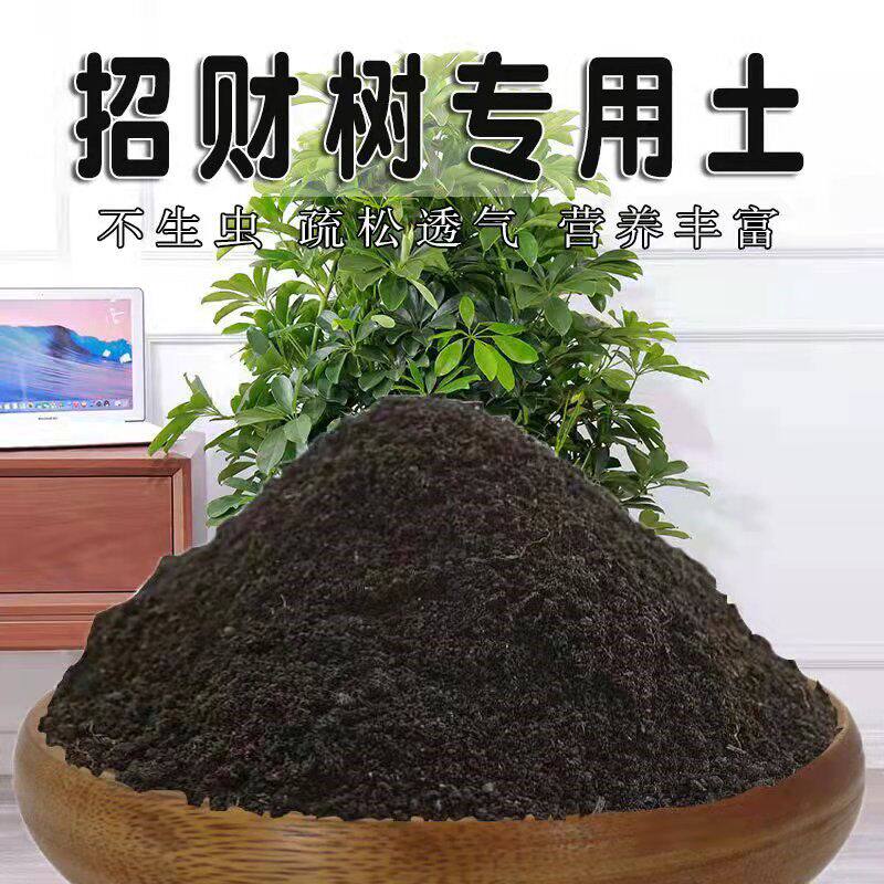 招财树专用土八方来财盆栽透气种植招财树营养土种花绿植土有机土