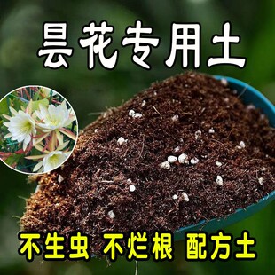 【昙花专用土】营养土家庭盆栽绿植室内植物肥料种植土