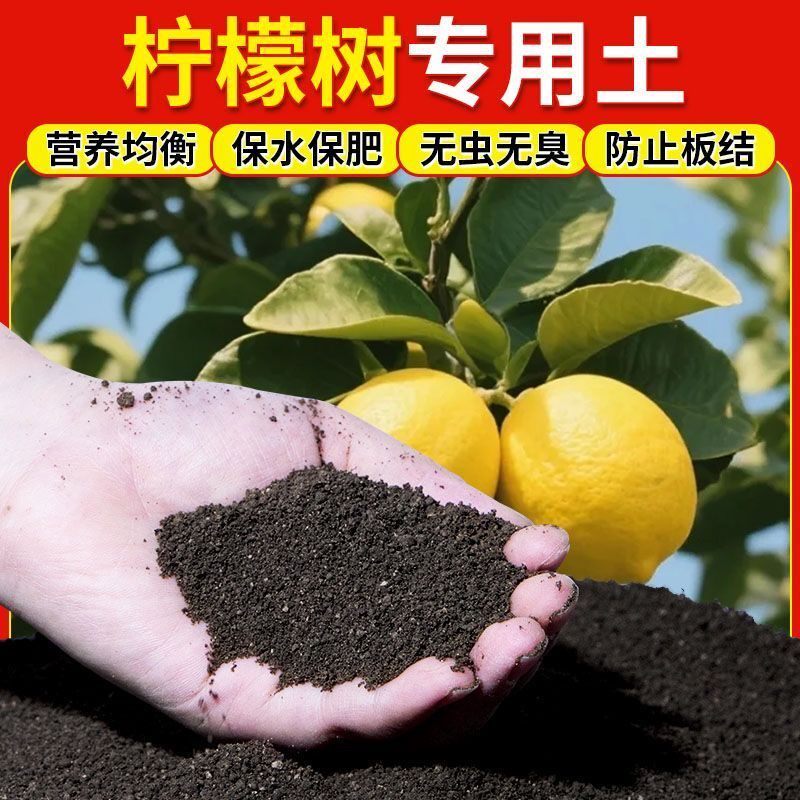柠檬树专用营养土果树盆栽土阳台种花养花土有机有机土泥炭土肥料
