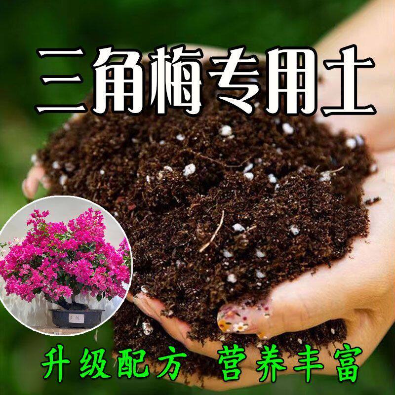 三角梅专用土三角梅专用营养土种花养花土育苗土盆栽种植土壤肥料