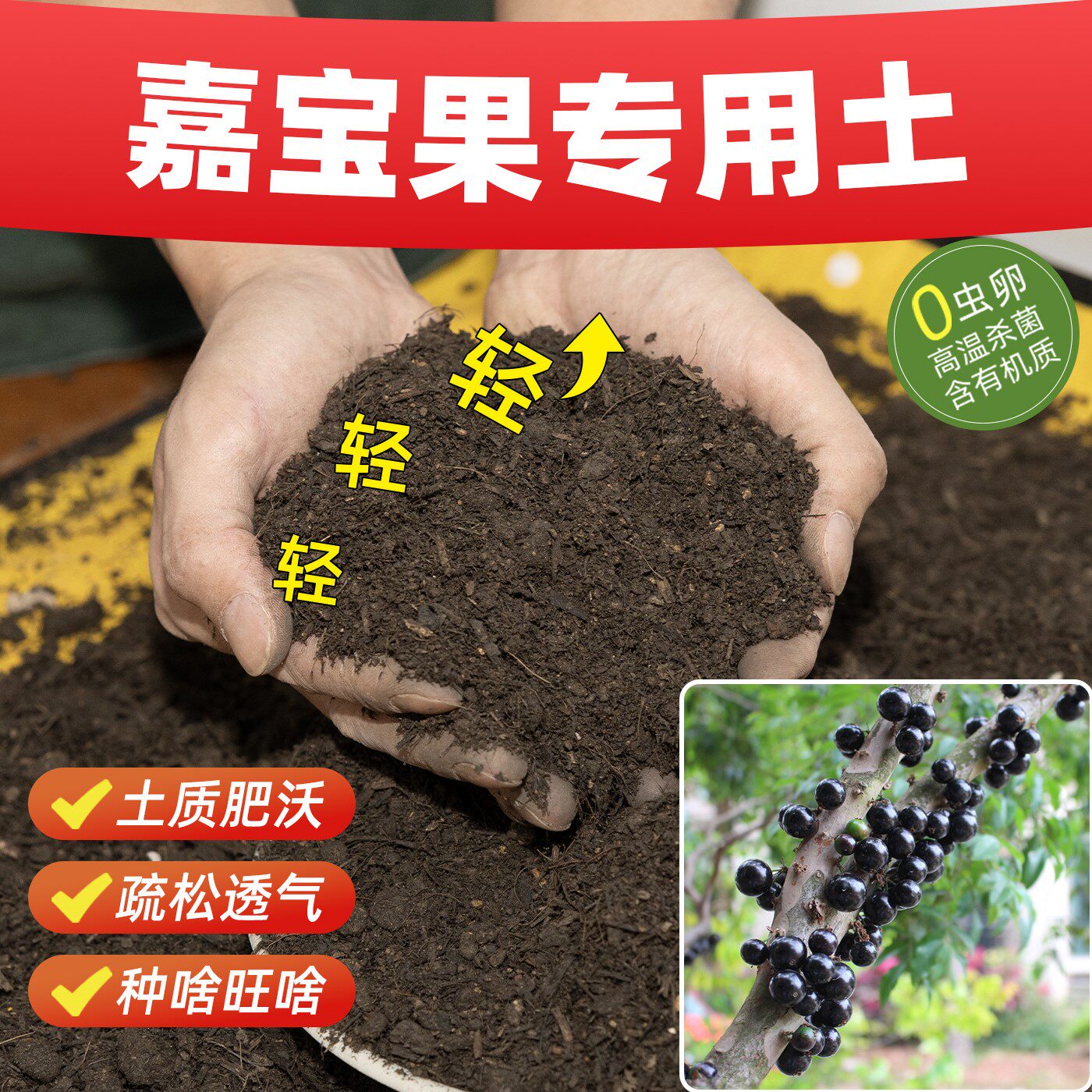 嘉宝果专用营养土疏松土壤防板结抗病通用型无虫卵育苗土室内盆栽