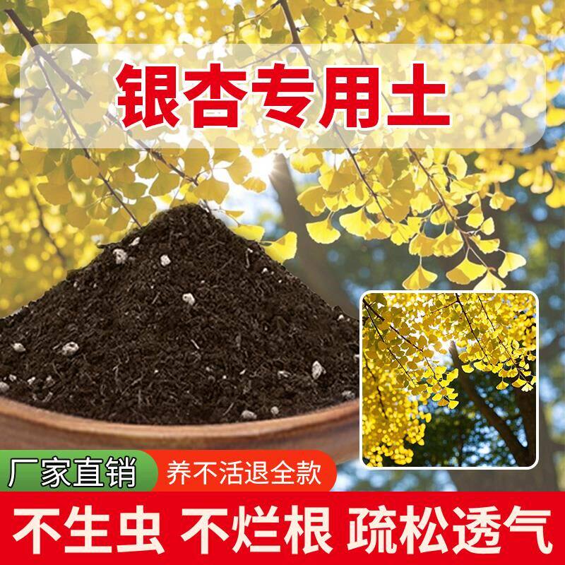 银杏专用土室内种菜土种植种植土盆栽专用土家用透气花草绿植物