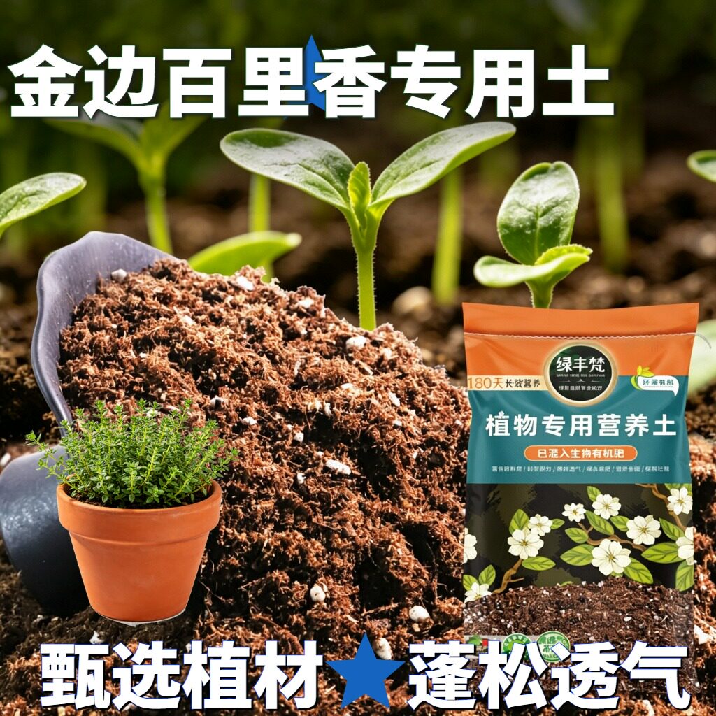 金边百里香专用轻质园艺土盆栽土结构稳定稳定土团试用装多肉