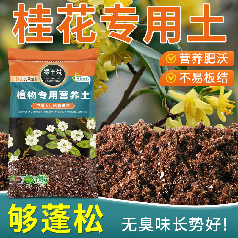 桂花适用花土科学配比阳台营养土洁净基质稳定土团试用装木本绿叶