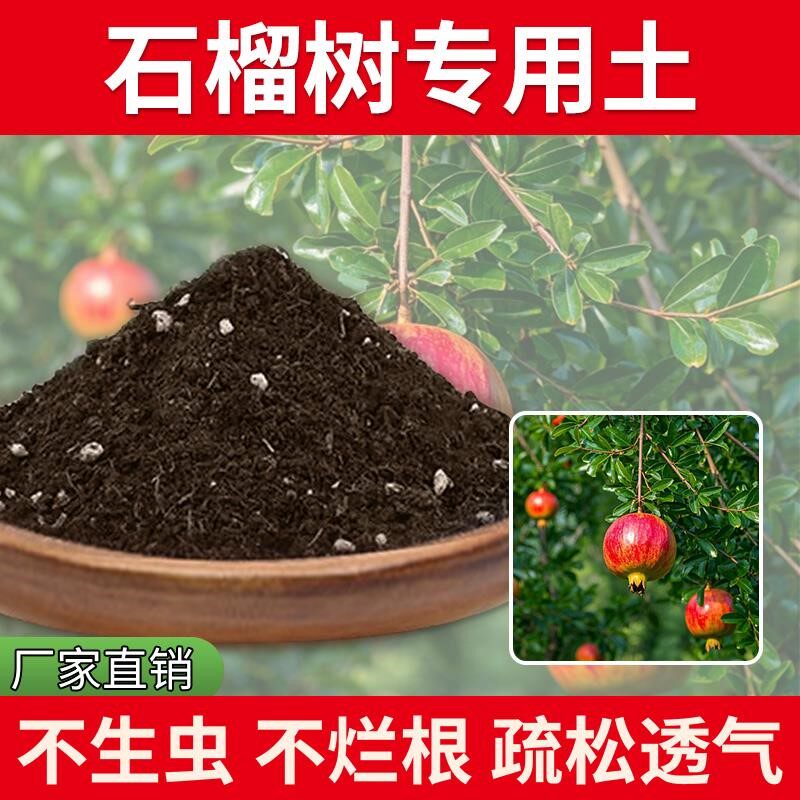 石榴树专用土通用型栽培土种植种植土花园种树绿植盆栽专用土泥土