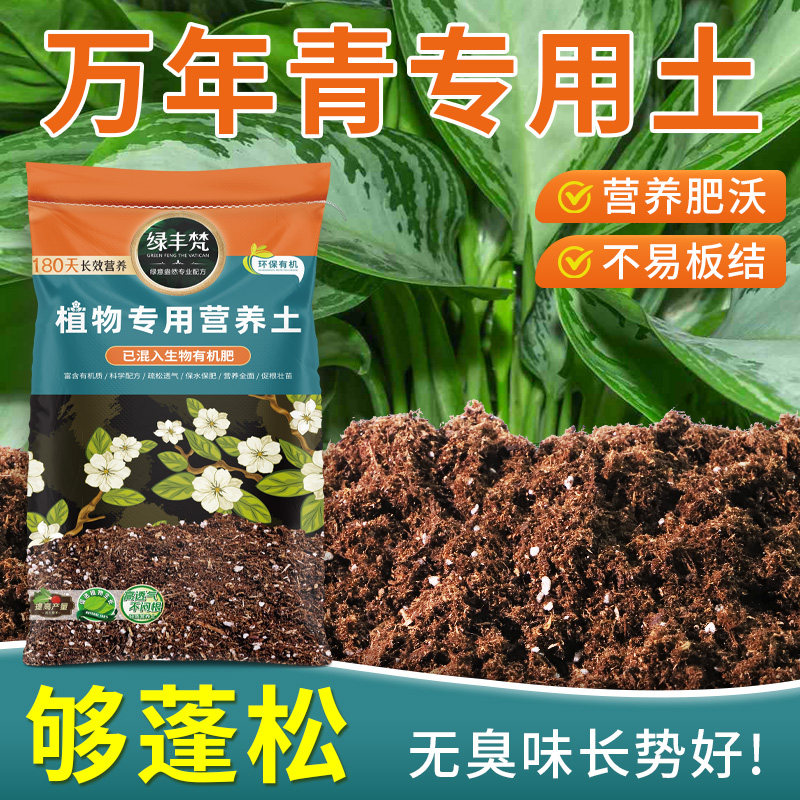 万年青适用花卉土幼苗适用无大硬块减少板结概率家用装四季常青