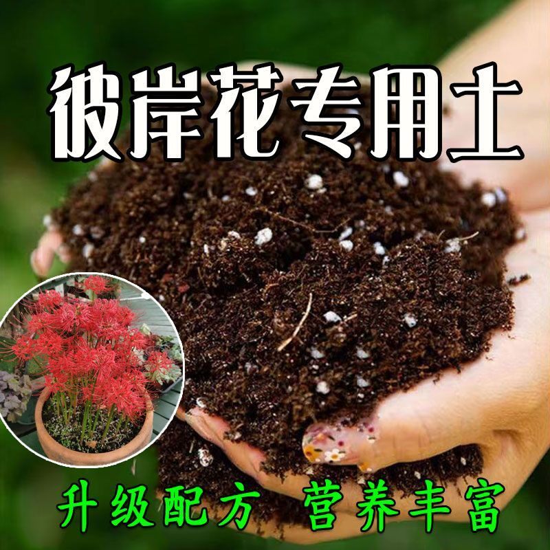 彼岸花专用土彼岸花专用营养土种花养花土育苗土盆栽种植土壤肥料