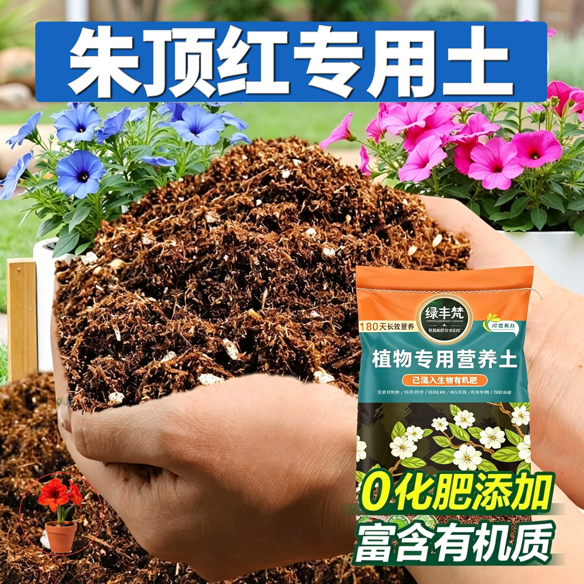 朱顶红专用土壤家庭适用高压嫁接种植土洁净基质绿叶实惠装木本