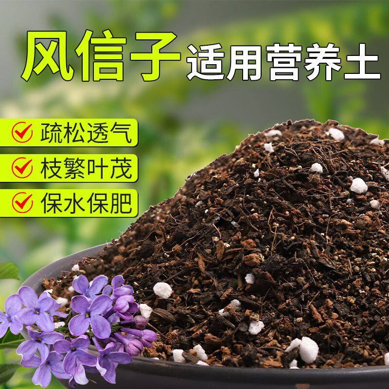 【风信子专用土】疏松透气盆栽绿植专用室内植物有机营养土肥料