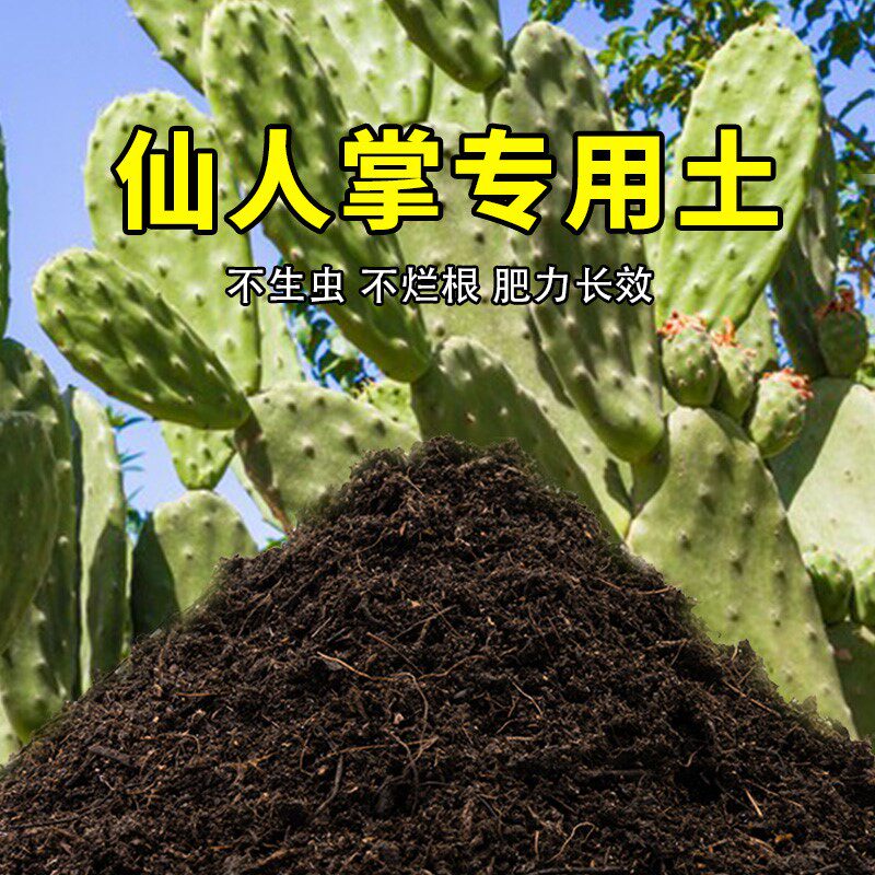 仙人掌专用土家用养花有机土壤种植土肥料种花盆栽土仙人掌营养土