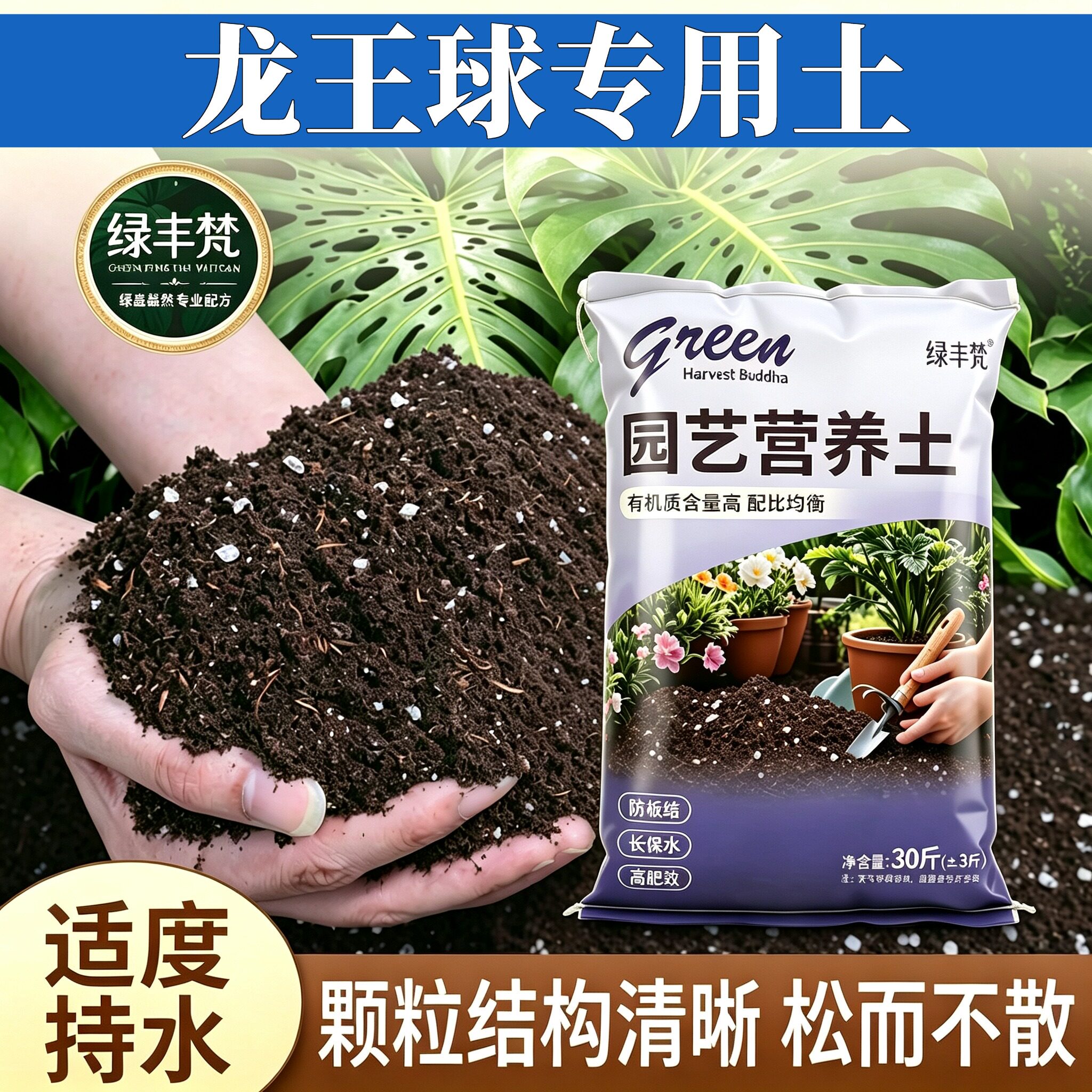 龙王球适用进口泥炭土不板结防烂根花园加有机肥有机壮根球根盆景