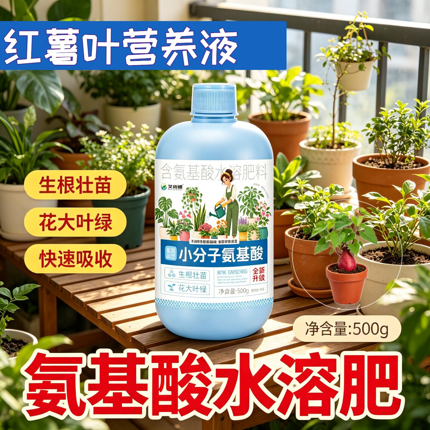 红薯叶适用小分子氨基酸营养液兑水即用壮根促长园艺盆栽快速吸收