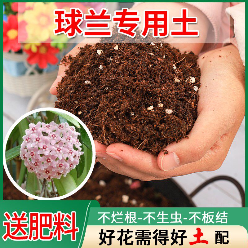 球兰专用土兰花营养土养花专用多元土蚯蚓土阳台盆栽土花卉花泥