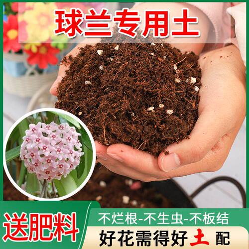 球兰专用土兰花营养土养花专用多元土蚯蚓土阳台盆栽土花卉花泥